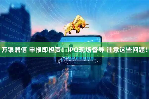 万银鼎信 申报即担责！IPO现场督导 注意这些问题！