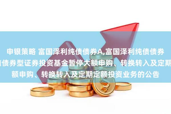 申银策略 富国泽利纯债债券A,富国泽利纯债债券C: 关于富国泽利纯债债券型证券投资基金暂停大额申购、转换转入及定期定额投资业务的公告