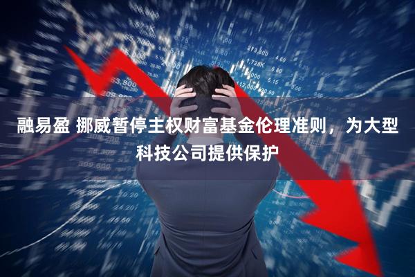 融易盈 挪威暂停主权财富基金伦理准则，为大型科技公司提供保护