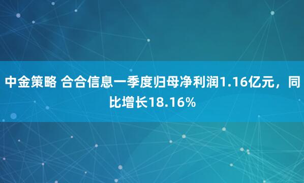中金策略 合合信息一季度归母净利润1.16亿元，同比增长18.16%