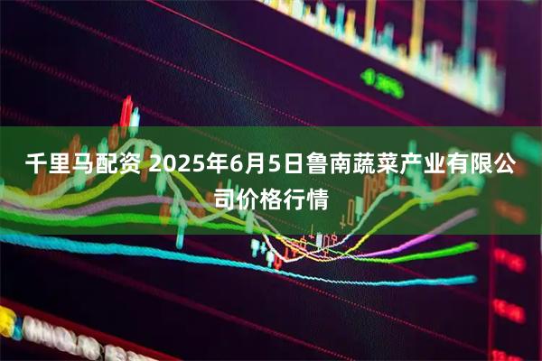 千里马配资 2025年6月5日鲁南蔬菜产业有限公司价格行情