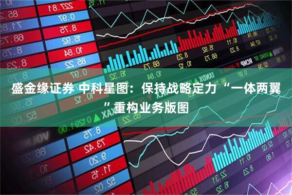 盛金缘证券 中科星图：保持战略定力 “一体两翼”重构业务版图